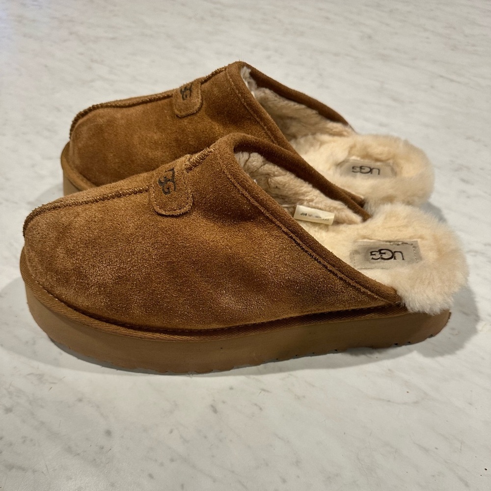 Tasman Uggs